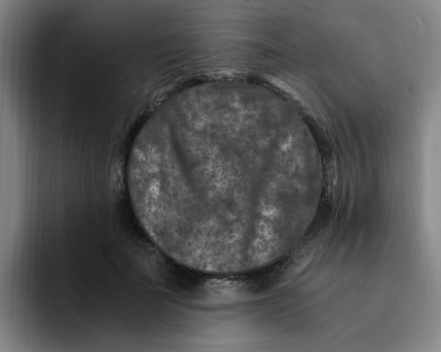 X0000091900699200709261658