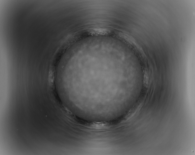 X0000091900701200709261658