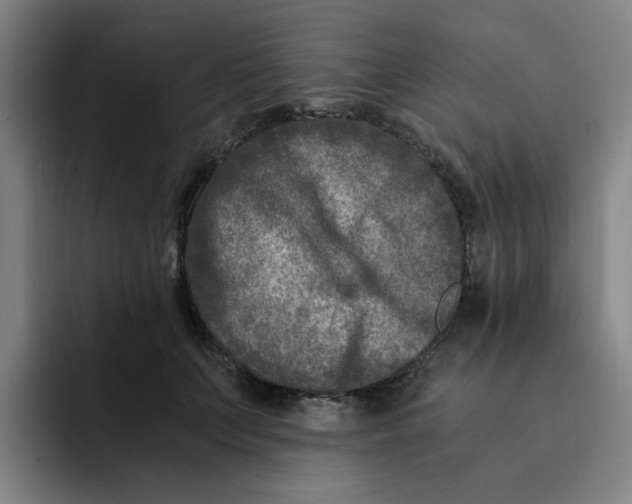 X0000091900703200709261658