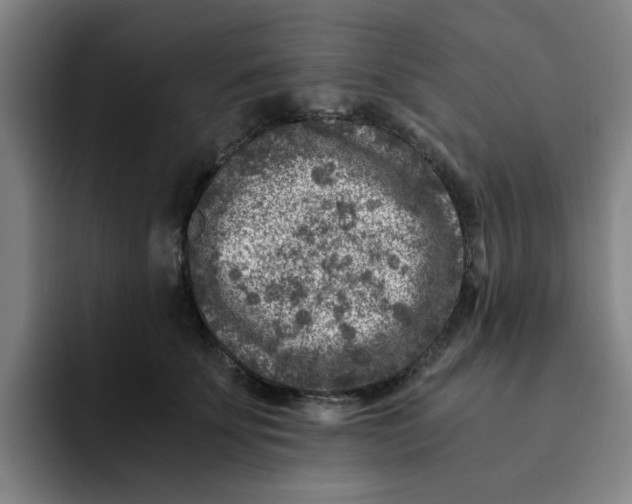 X0000091900707200709261658