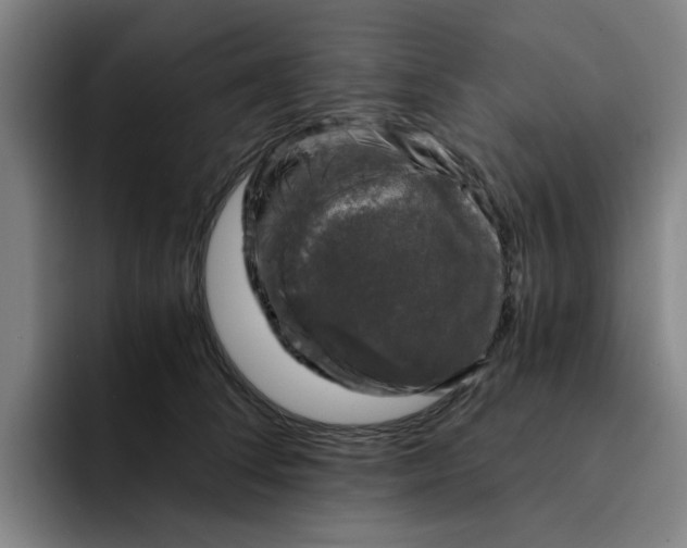 X0000091900708200709261658