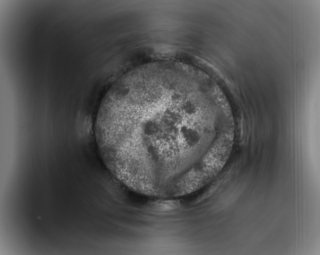 X0000091900711200709261658