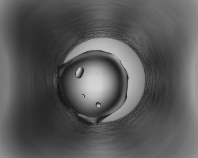 X0000091900712200709261658