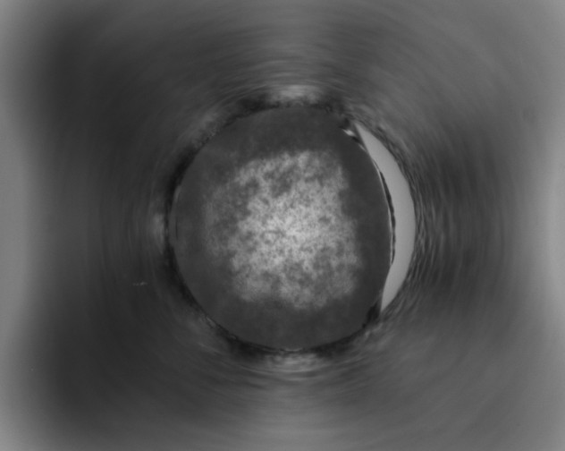 X0000091900716200709261658