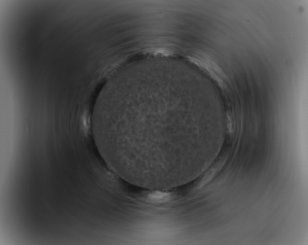 X0000091900718200709261658