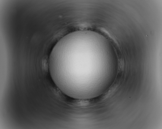 X0000091900719200709261657