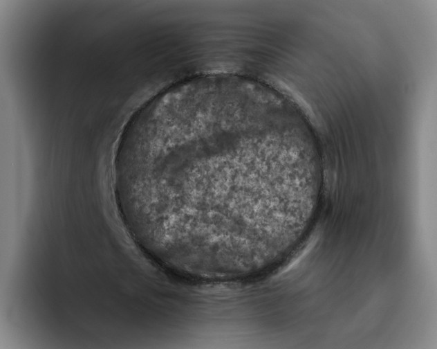 X0000091900721200709261657