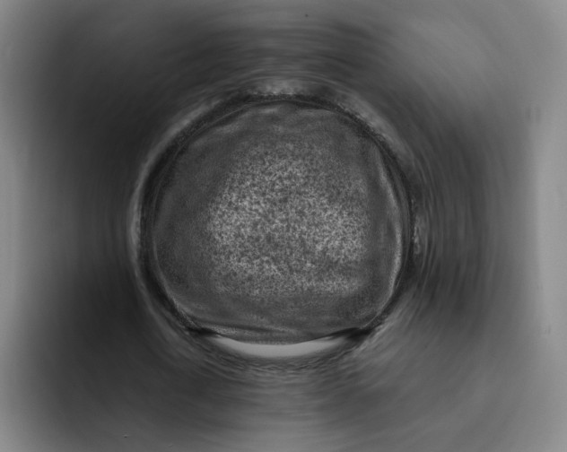 X0000091900722200709261657