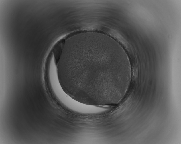 X0000091900724200709261657