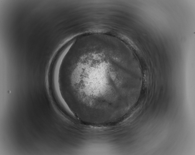 X0000091900726200709261657