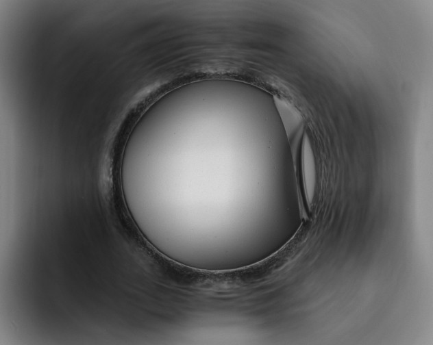 X0000091900727200709261657