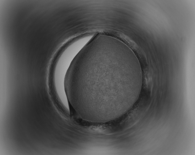 X0000091900728200709261657