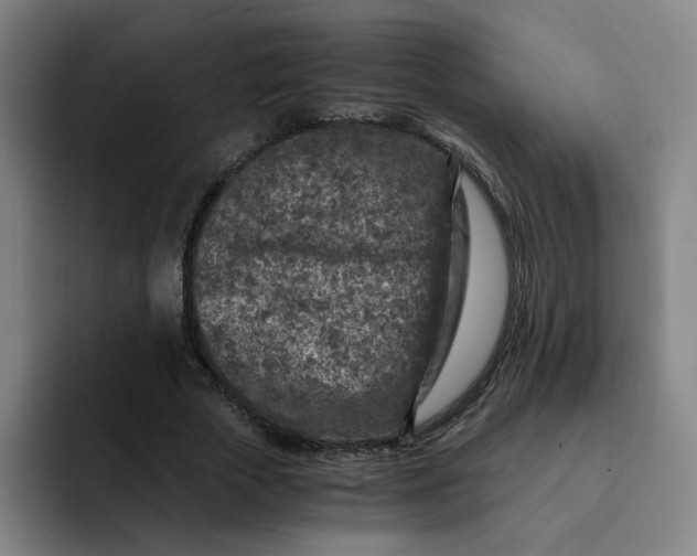 X0000091900729200709261657