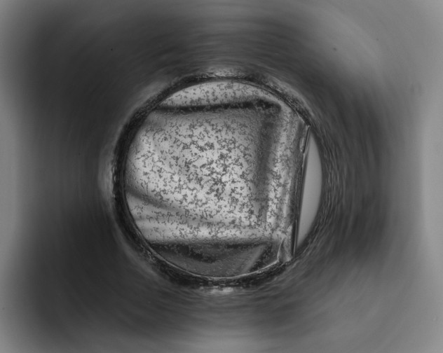 X0000091900730200709261657