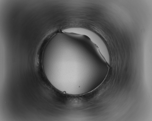 X0000091900731200709261657