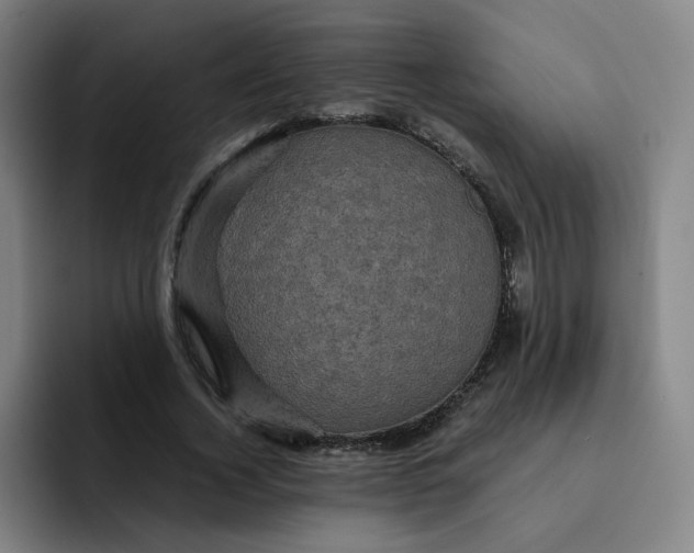 X0000091900732200709261657