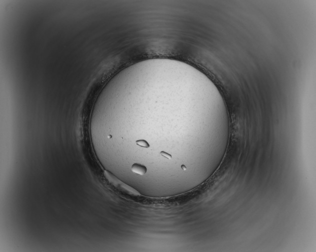 X0000091900738200709261657