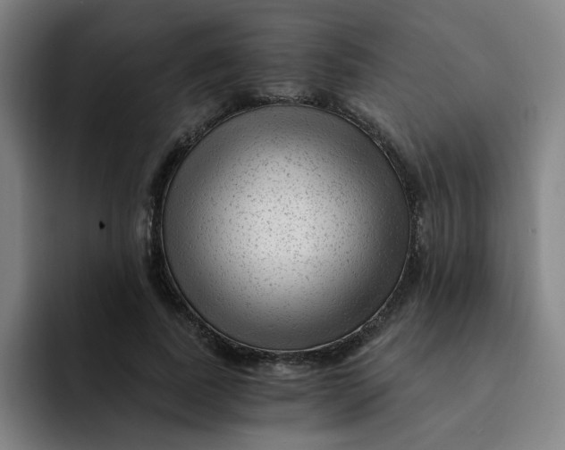 X0000091900739200709261657