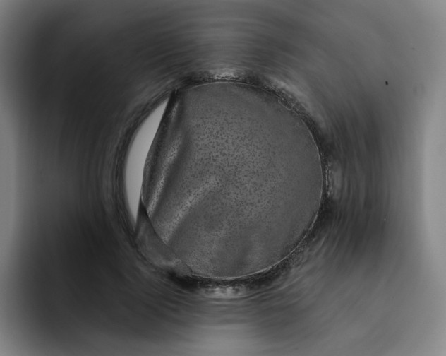 X0000091900740200709261657