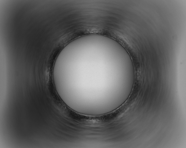 X0000091900741200709261657