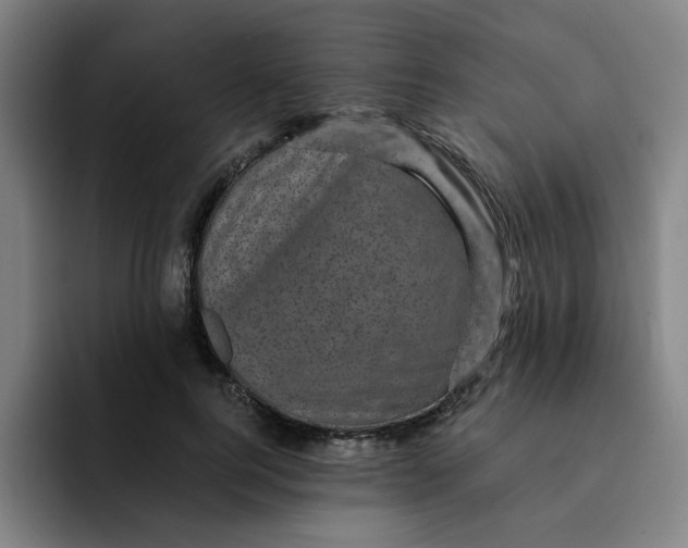 X0000091900744200709261657