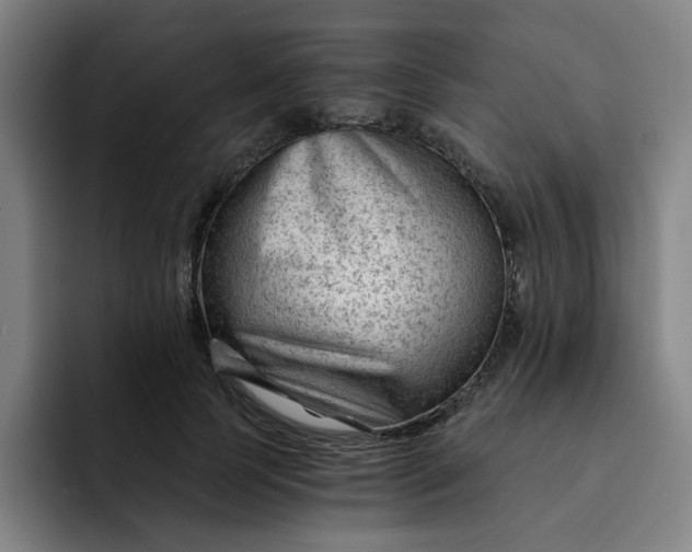 X0000091900745200709261657