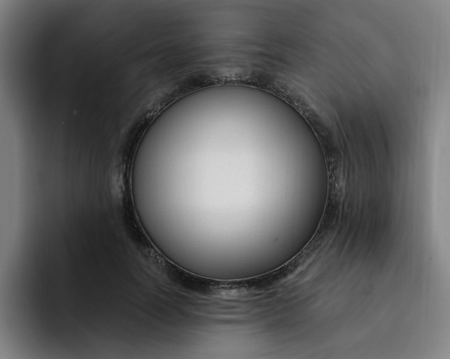 X0000091900746200709261657