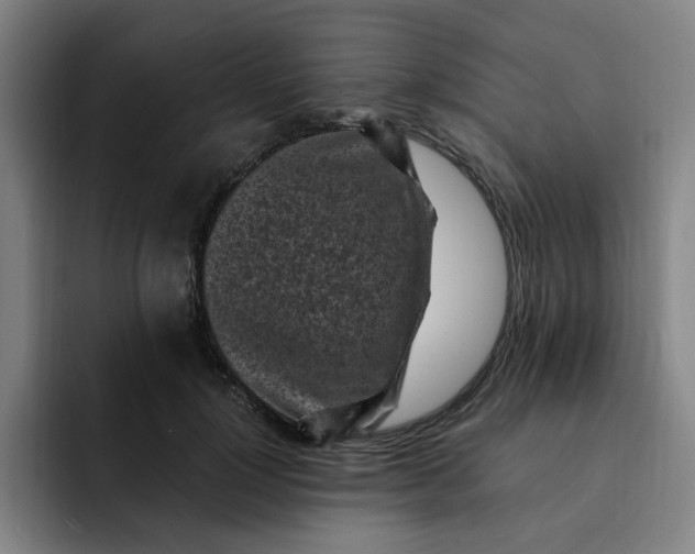 X0000091900748200709261657