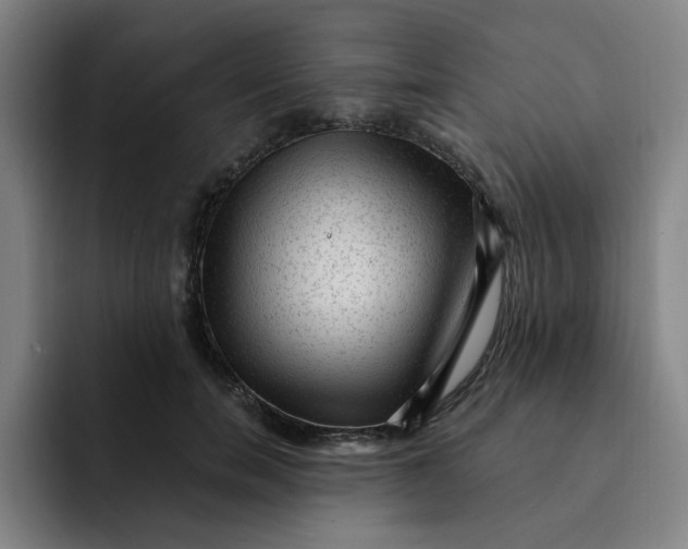 X0000091900750200709261657