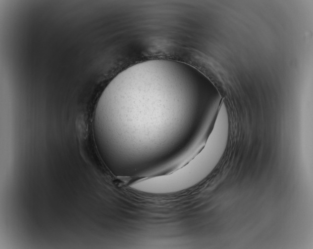 X0000091900751200709261657