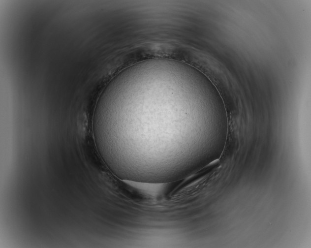 X0000091900752200709261657