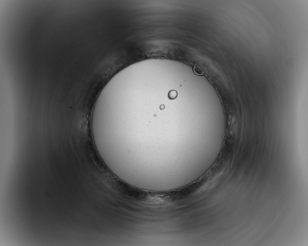 X0000091900753200709261657