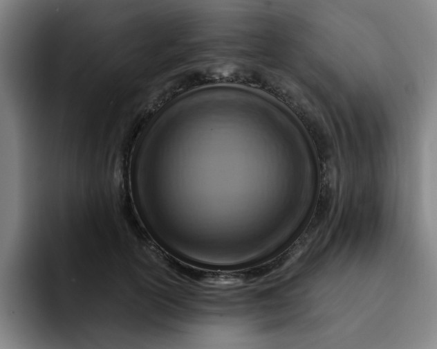 X0000091900754200709261657