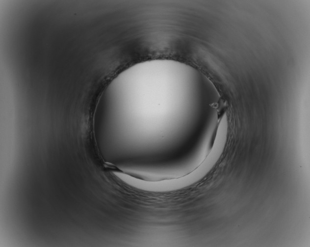 X0000091900756200709261657