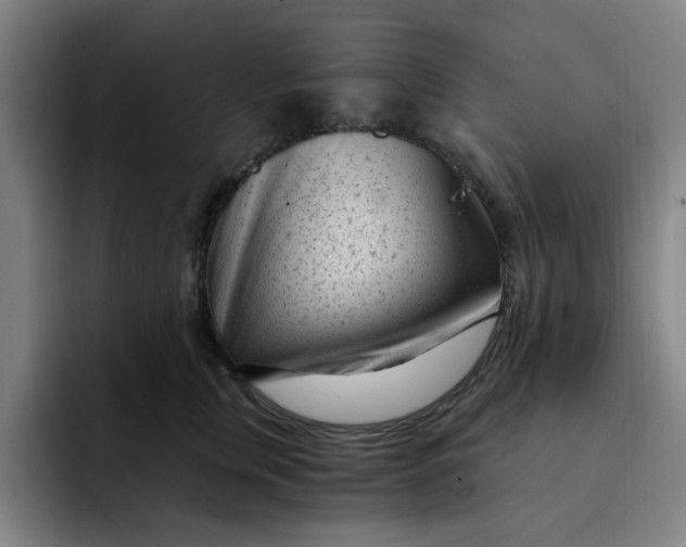 X0000091900759200709261657