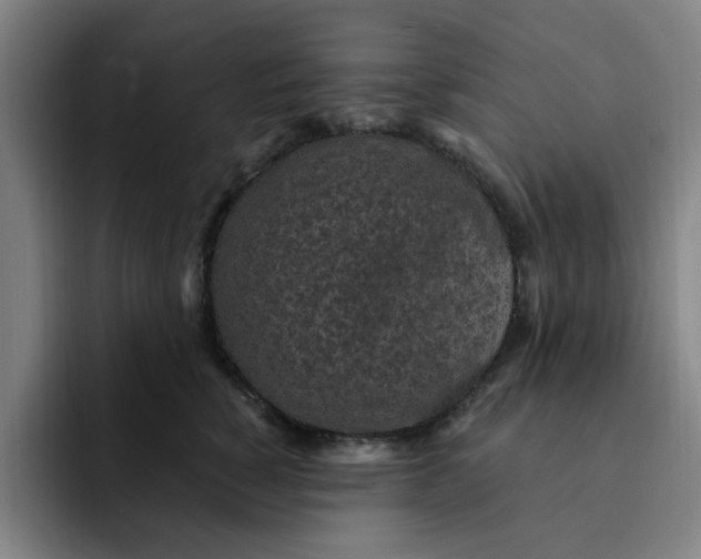 X0000091900760200709261657