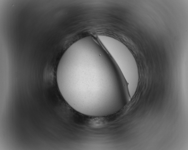 X0000091900761200709261657