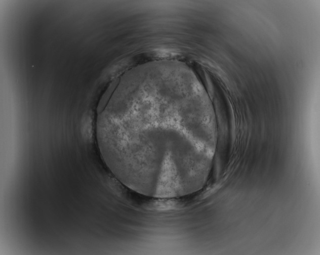 X0000091900762200709261657