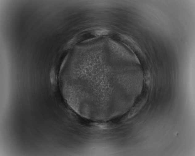 X0000091900763200709261657