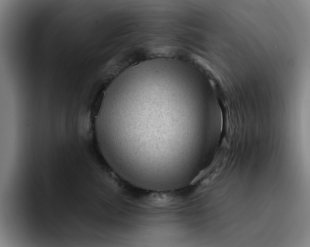 X0000091900764200709261657