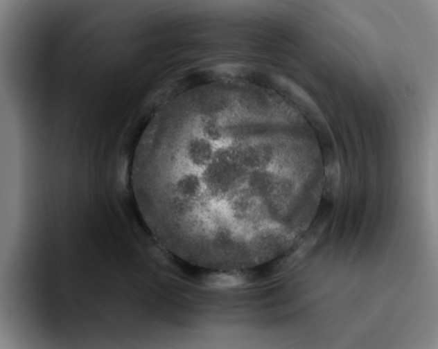 X0000091900765200709261657