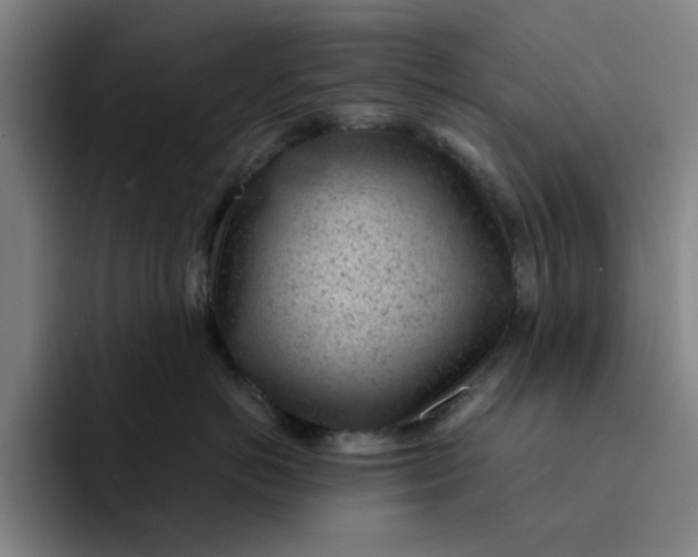 X0000091900766200709261657