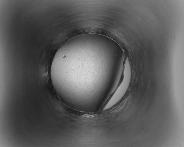 X0000091900771200709261657