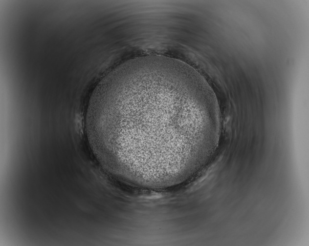 X0000091900772200709261657