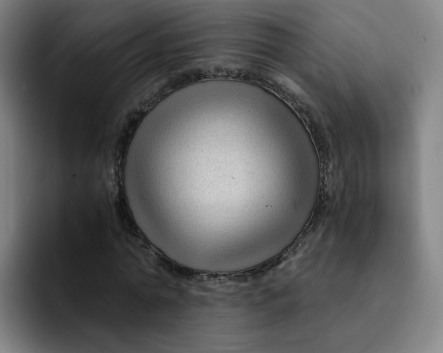 X0000091900774200709261657