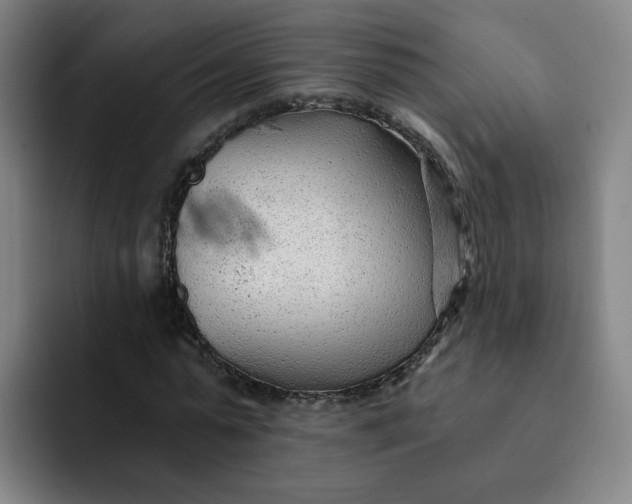 X0000091900775200709261657