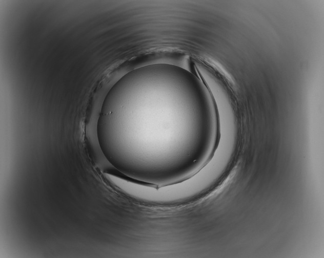 X0000091900777200709261657