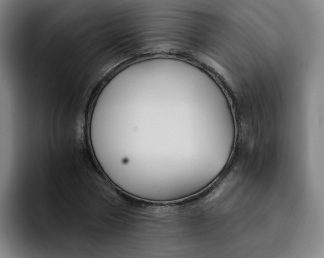 X0000091900778200709261657