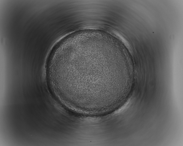 X0000091900779200709261657