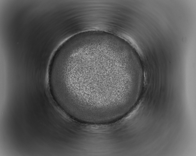 X0000091900780200709261657